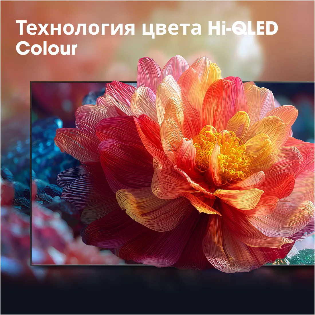 Hisense 55E7S, фото 26